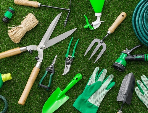 Retirement Life: Turning Hobbies into Passions